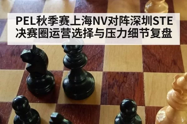 PEL秋季赛上海NV对阵深圳STE决赛圈运营选择与压力细节复盘
